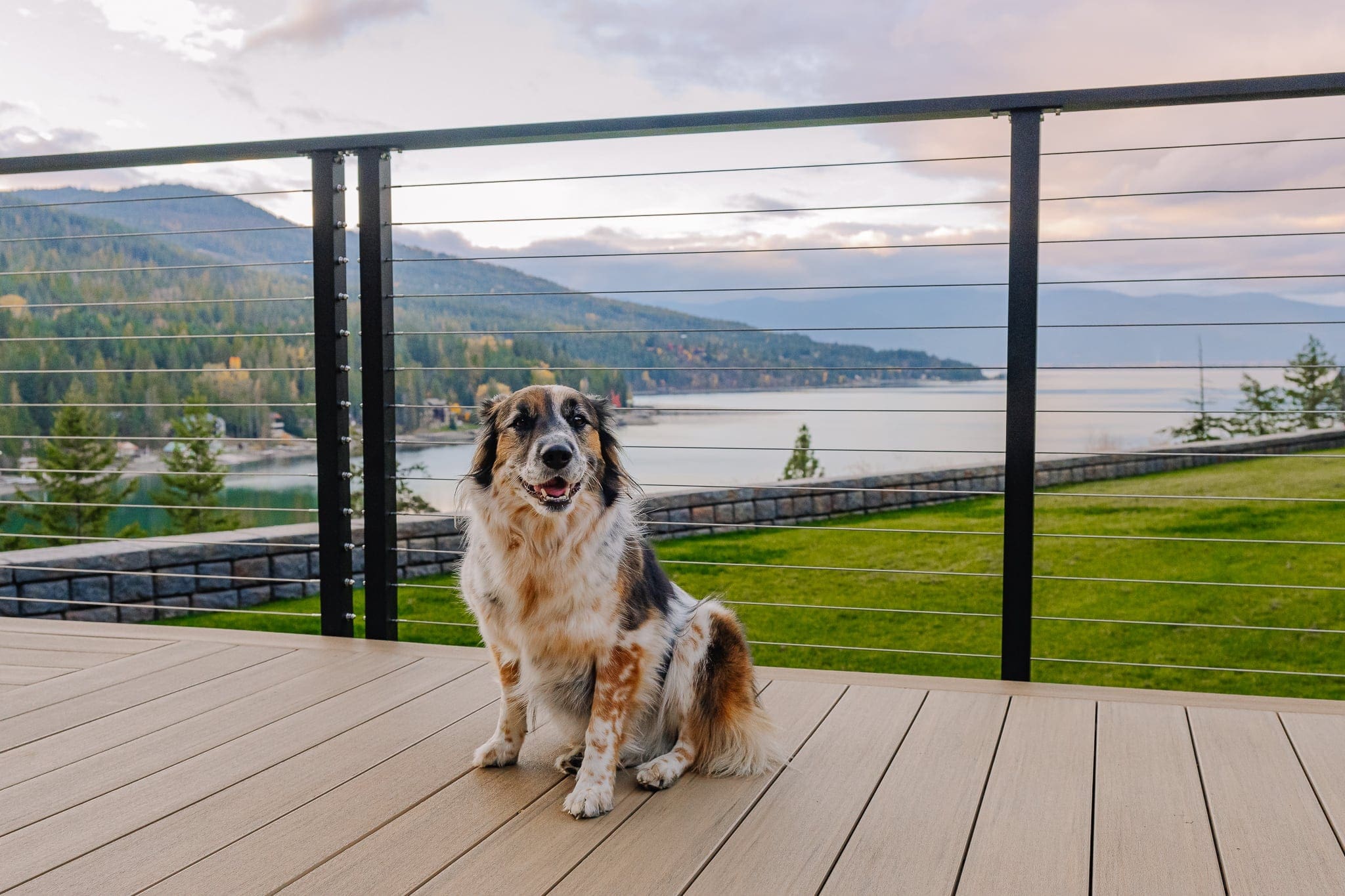Dog sitting on deck overlooking lake and mountains.