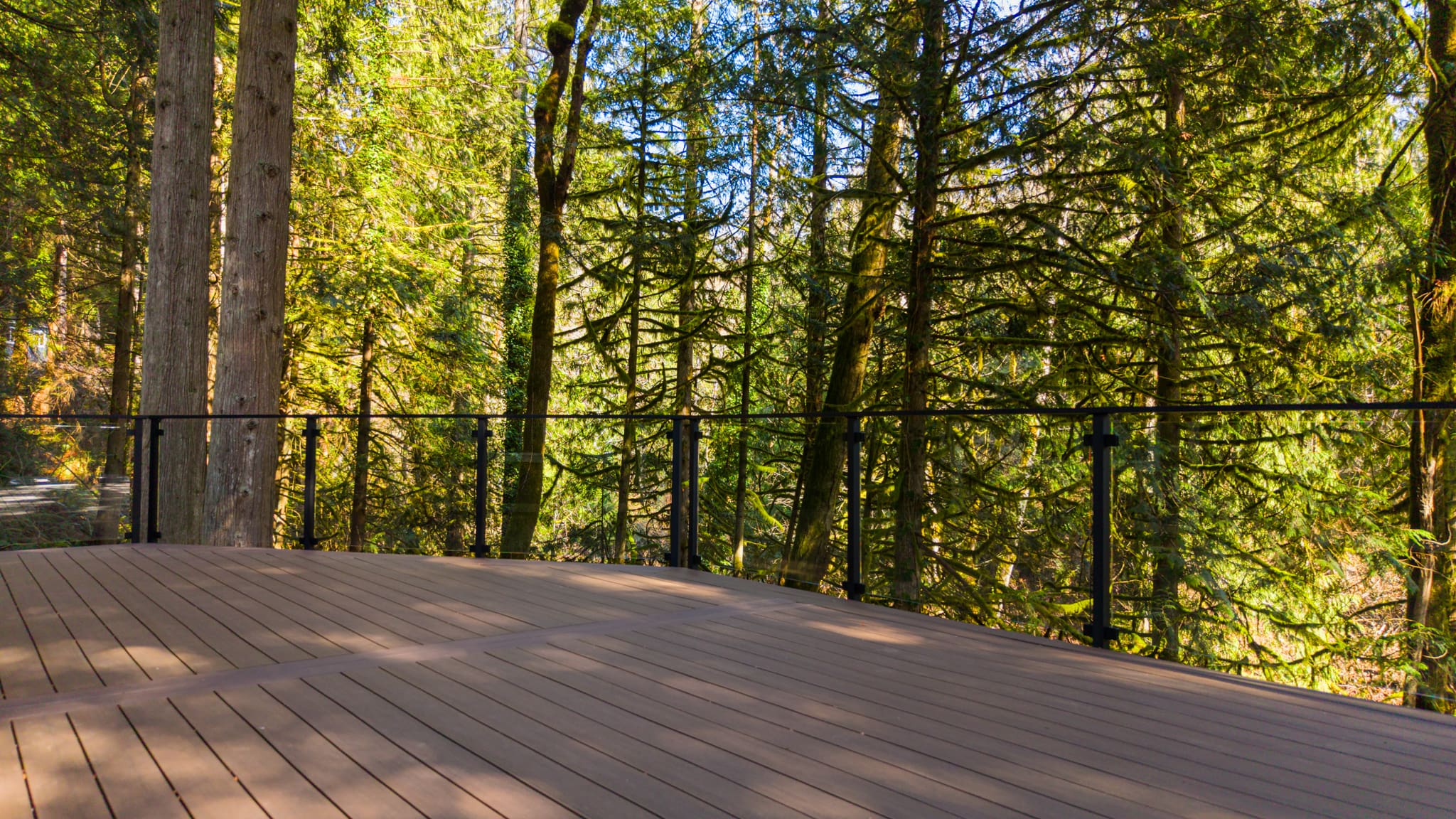 Wooden deck overlooking lush forest with glass railing